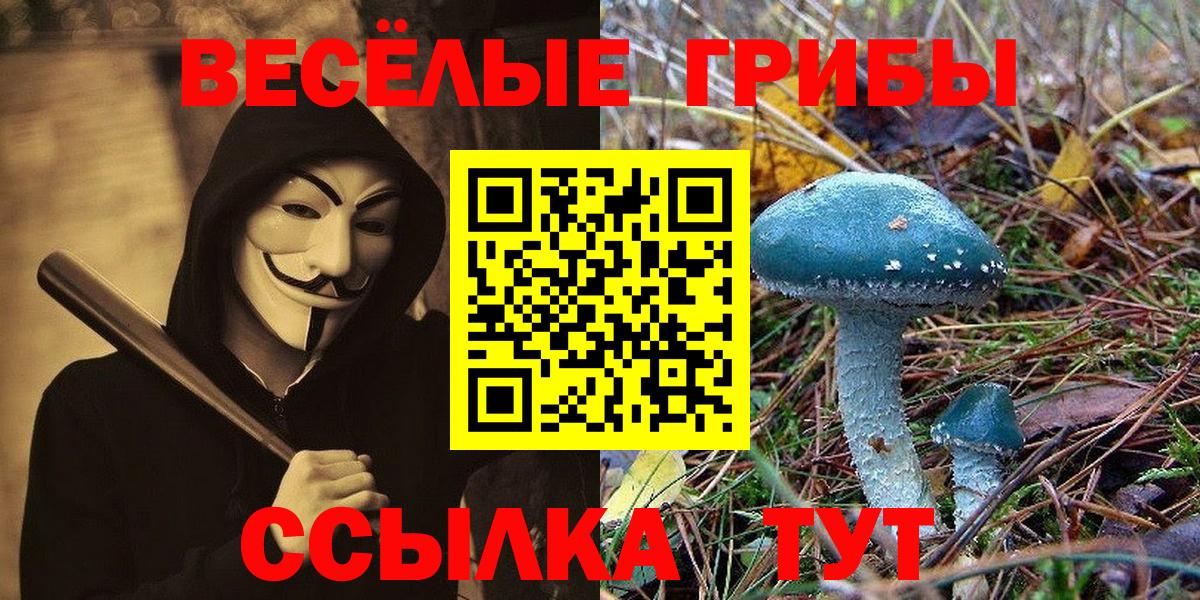 Псилоцибиновые грибы Magic Shrooms  Вход с VPN  закладка  Тверь 