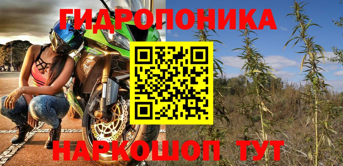 Тверь  Канабис VHQ  Шишки марихуана OG Kush  Конопля сатива  Вход с VPN 